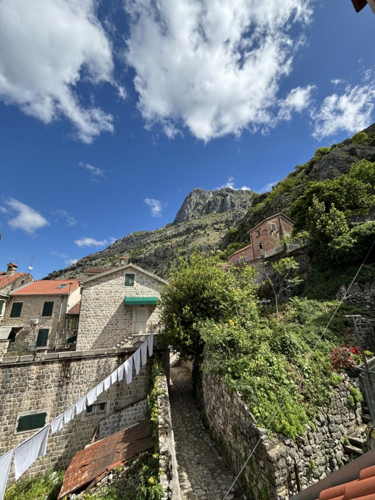 Kazin Supreme Hotel Kotor Phòng bức ảnh